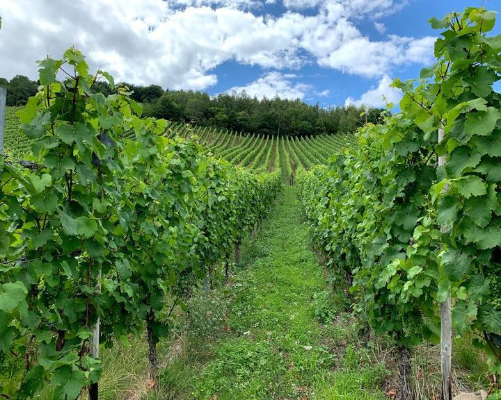 Weingut Storck